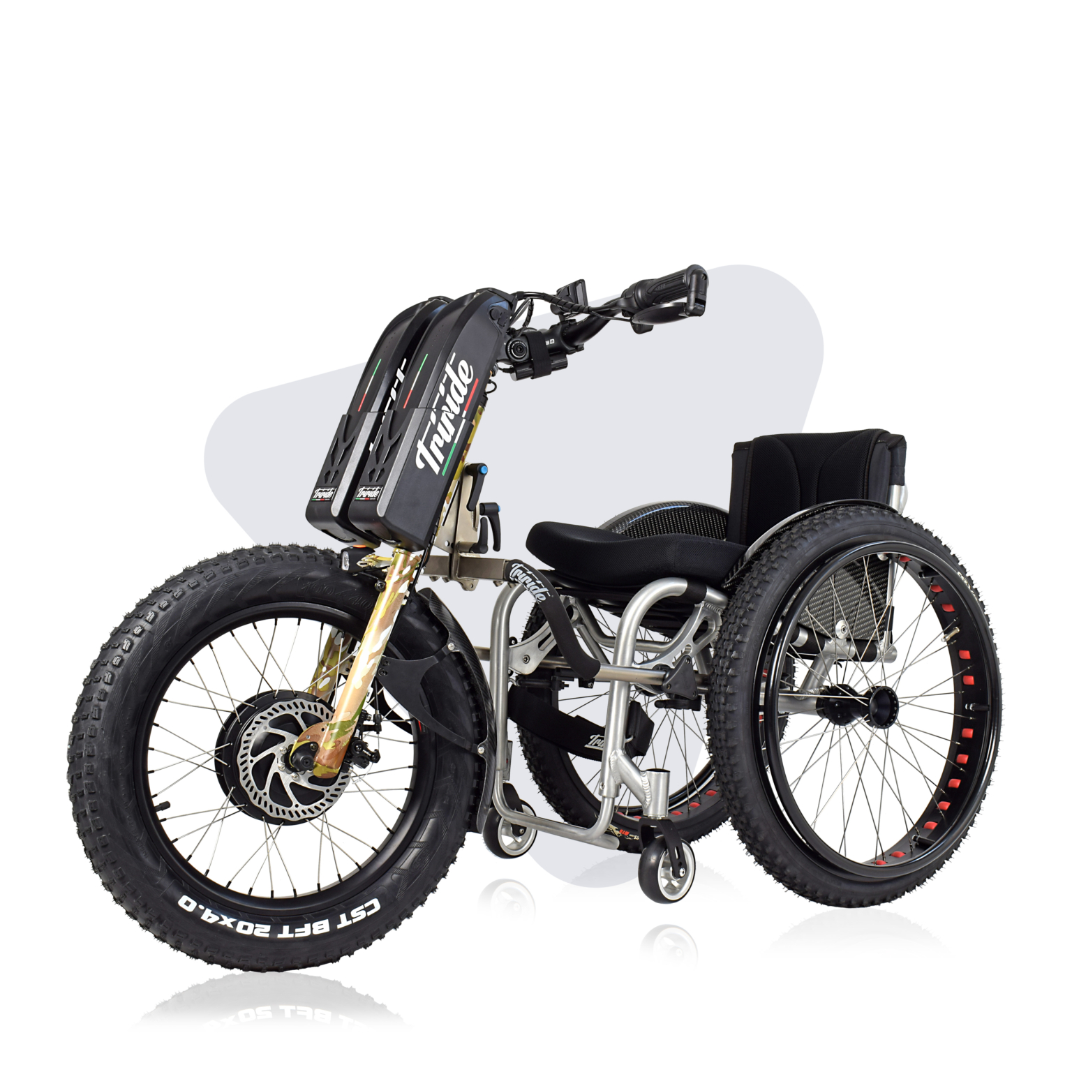 electric tribike